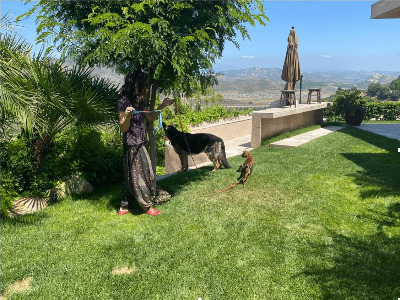 The family home in Fallbrook, California.